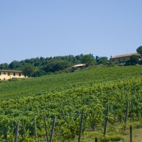 Agriturismo L\'Impostino Agriturismo L\'Impostino